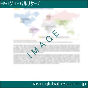 グローバルリサーチ調査レポートのイメージ